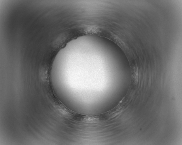 X0000073480619200608140818