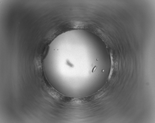 X0000073480620200608140818