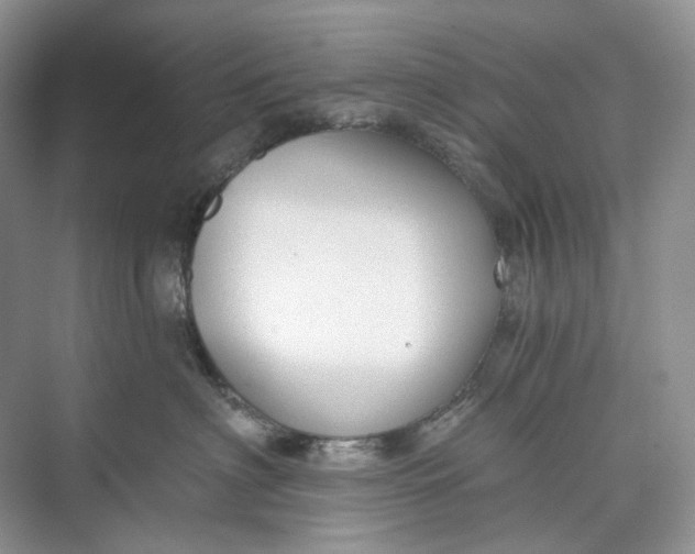 X0000073480622200608140818