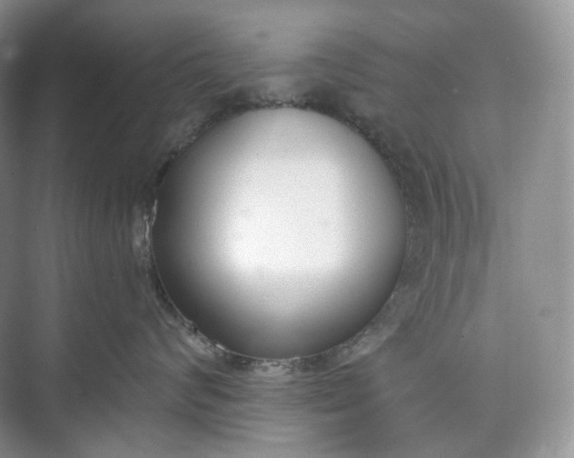 X0000073480624200608140818