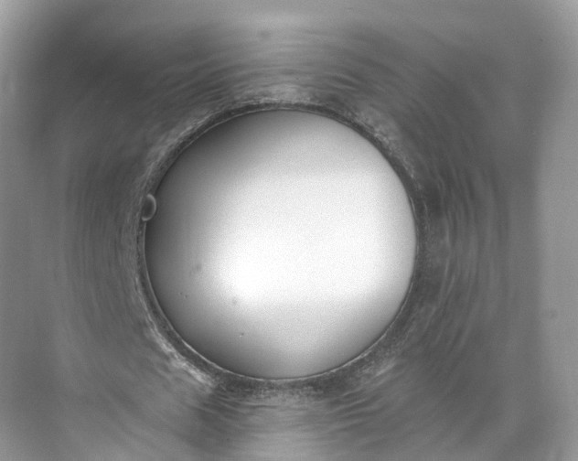 X0000073480625200608140817