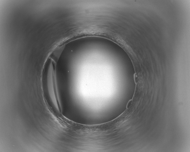 X0000073480626200608140817