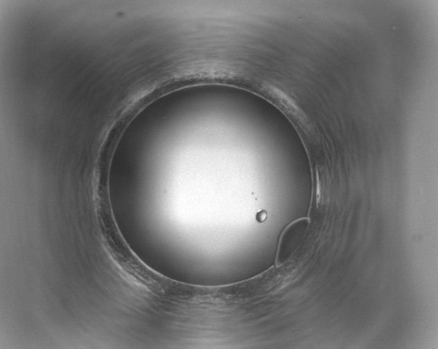 X0000073480627200608140817