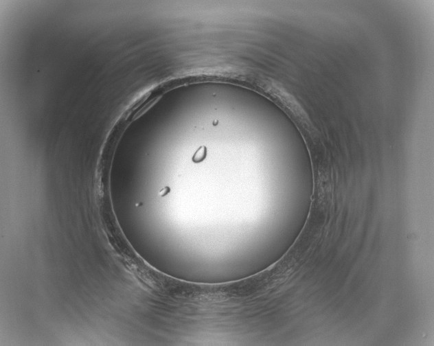 X0000073480628200608140817