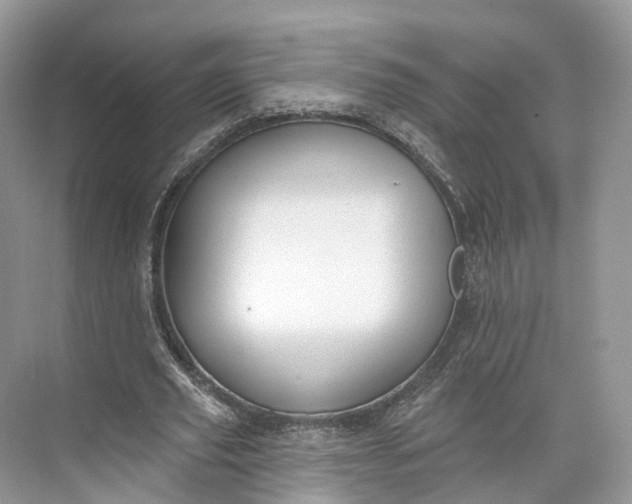 X0000073480629200608140817