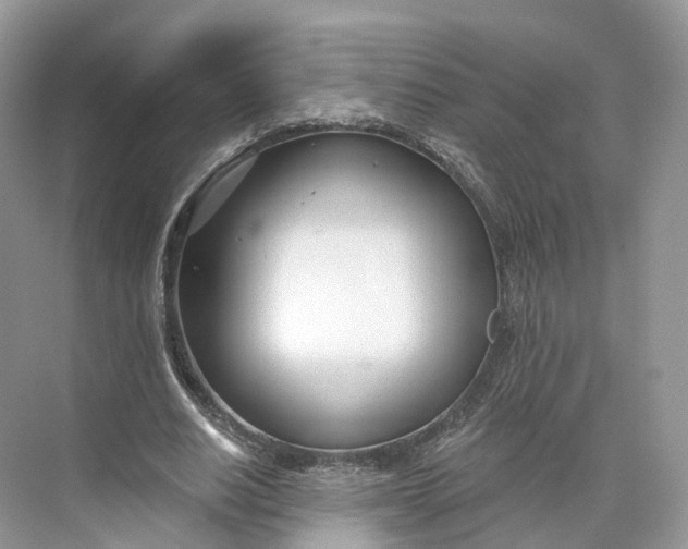 X0000073480630200608140817