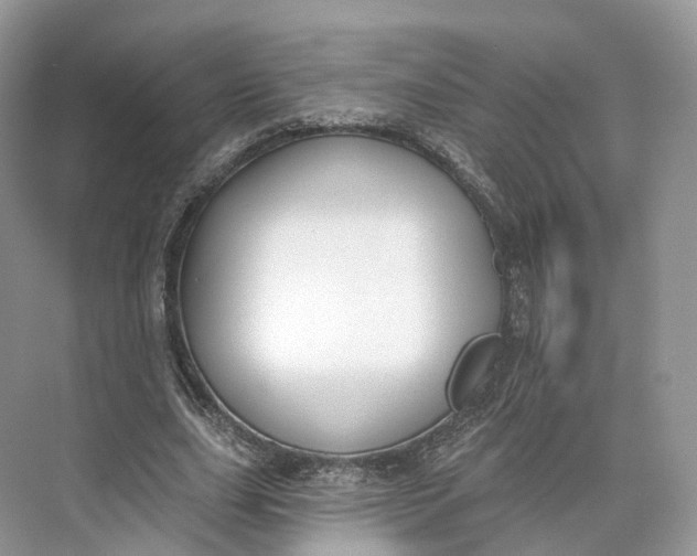 X0000073480631200608140817