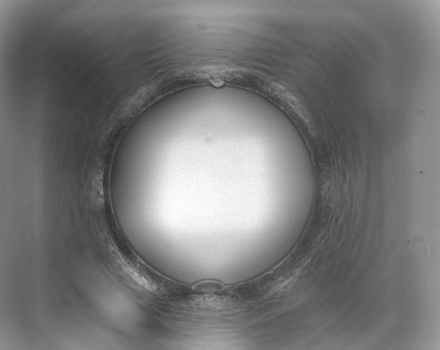 X0000073480633200608140817