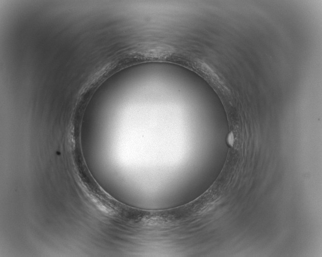 X0000073480634200608140817