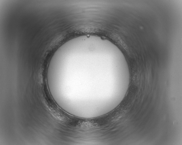 X0000073480635200608140817