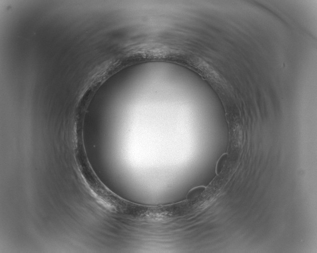 X0000073480638200608140817