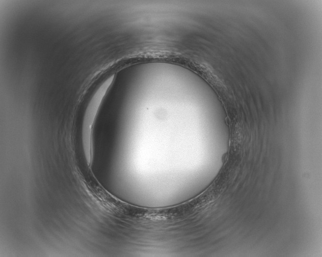 X0000073480640200608140817