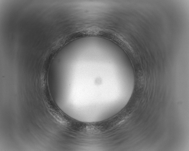 X0000073480641200608140817