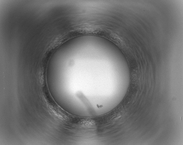 X0000073480642200608140817