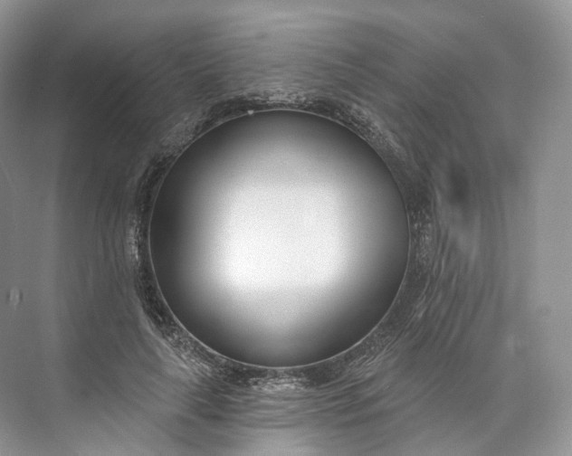 X0000073480643200608140817