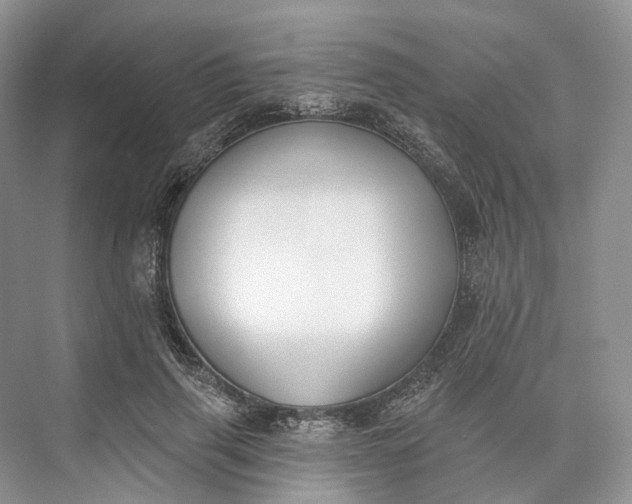 X0000073480645200608140817