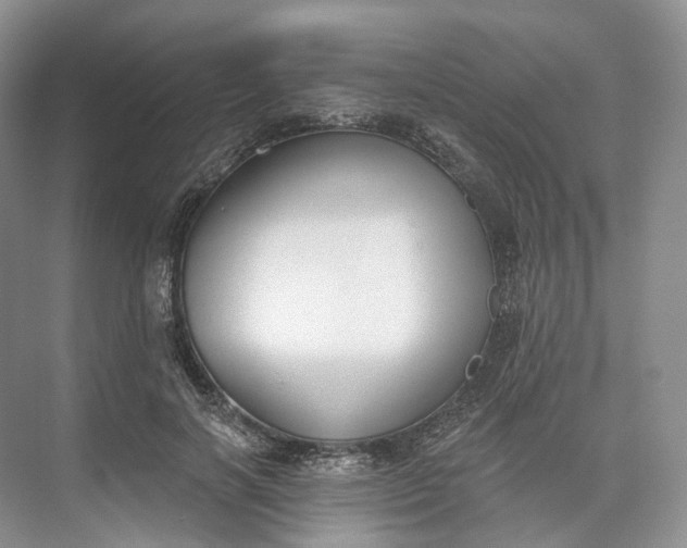 X0000073480646200608140817