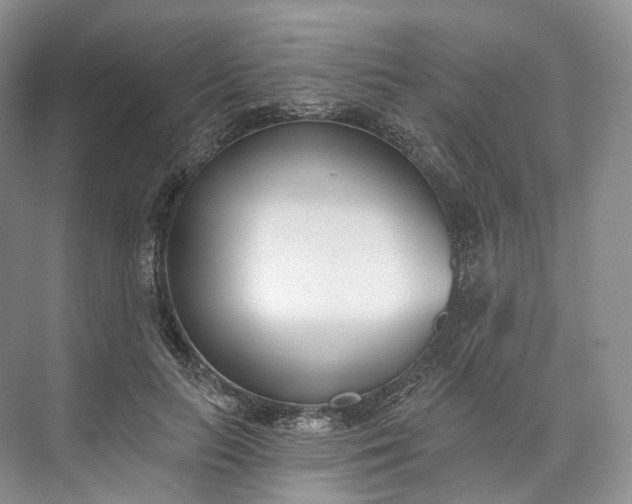 X0000073480647200608140817