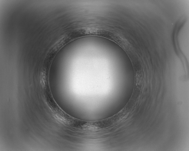 X0000073480648200608140817