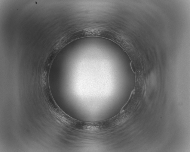 X0000073480649200608140817