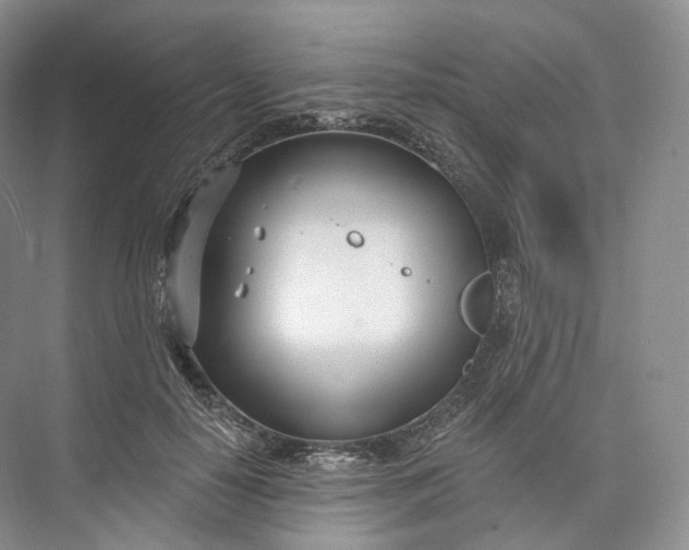 X0000073480650200608140817