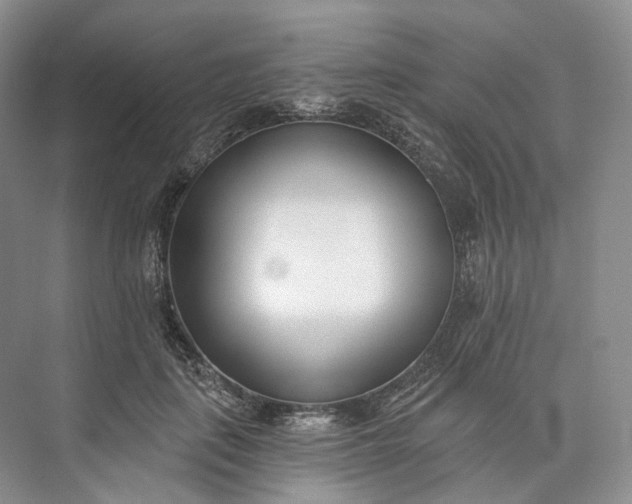 X0000073480651200608140817