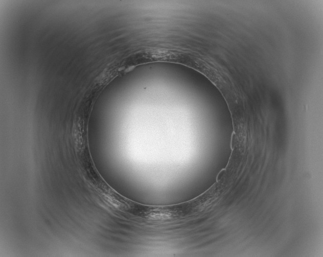 X0000073480653200608140817