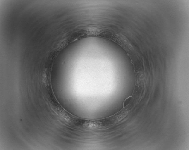 X0000073480655200608140817