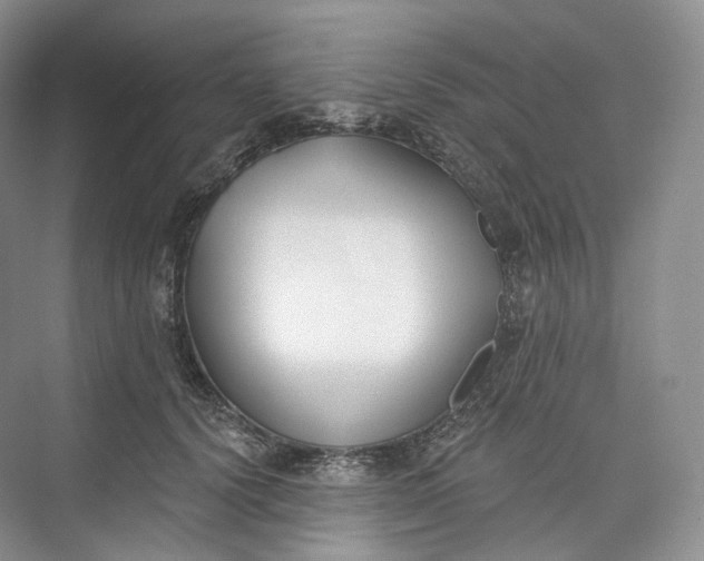 X0000073480656200608140817