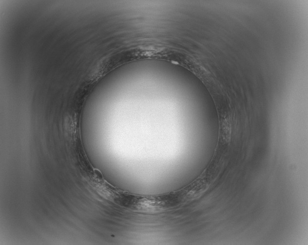 X0000073480657200608140817