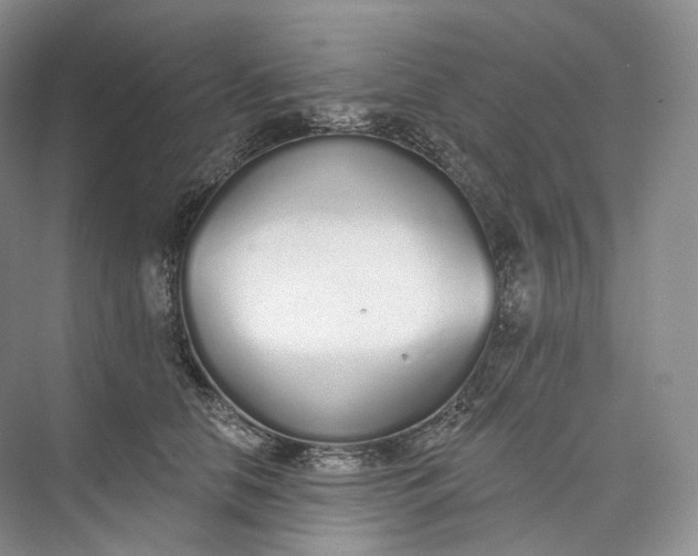 X0000073480658200608140817