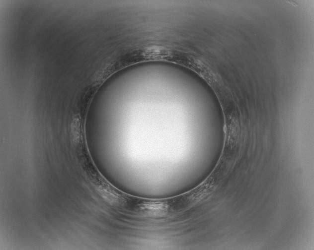 X0000073480659200608140817