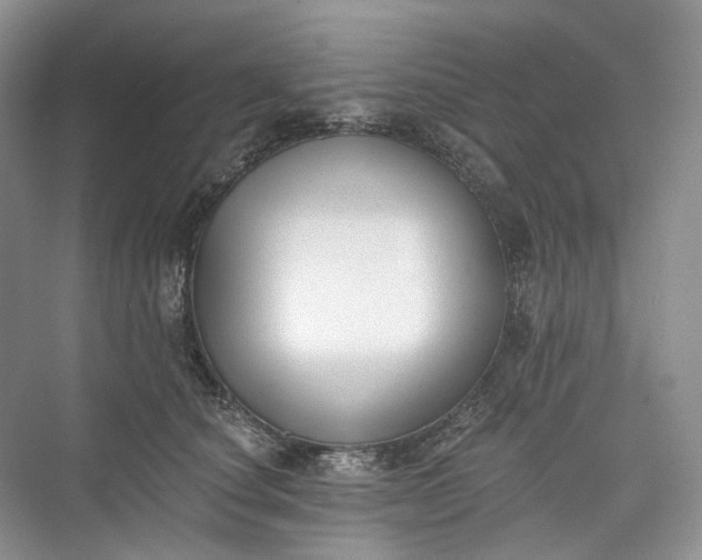 X0000073480660200608140817