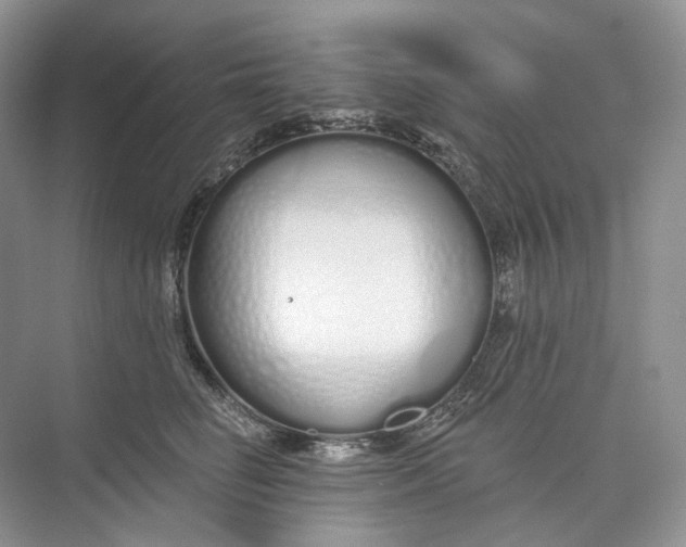 X0000073480662200608140817