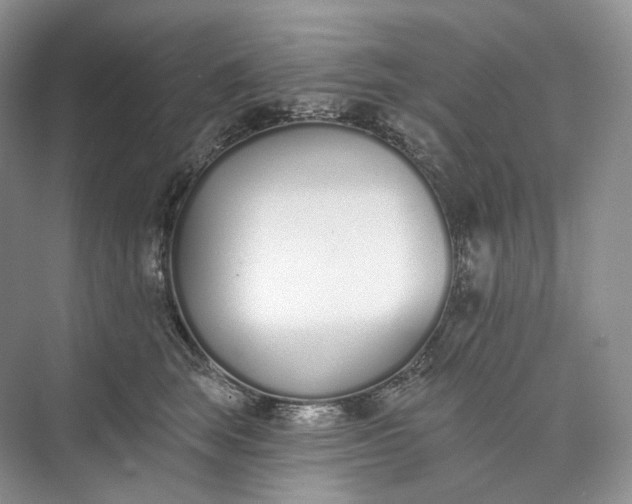 X0000073480663200608140817