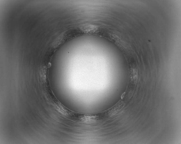 X0000073480664200608140817