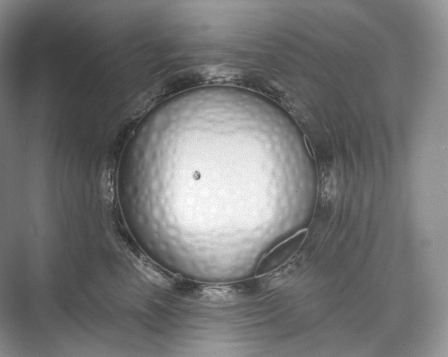 X0000073480666200608140818