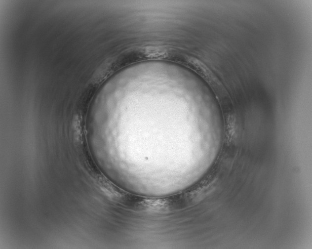 X0000073480667200608140818