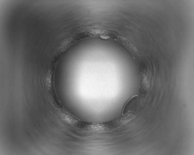 X0000073480668200608140818