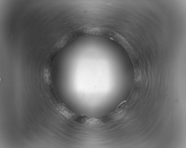 X0000073480669200608140818