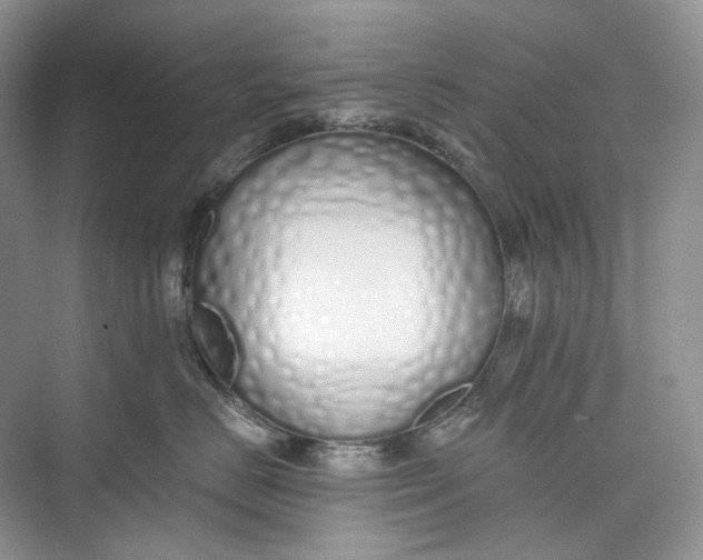 X0000073480670200608140818