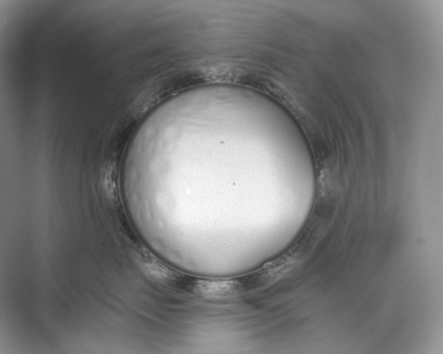 X0000073480671200608140818