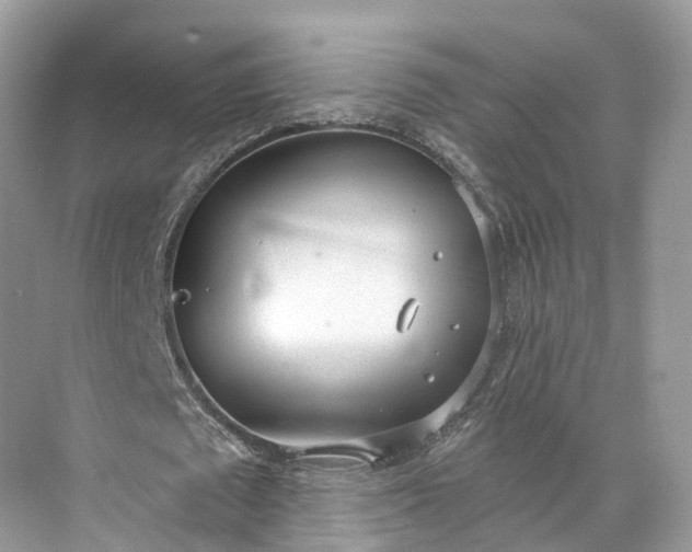 X0000073480673200608140817