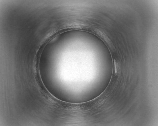 X0000073480675200608140817