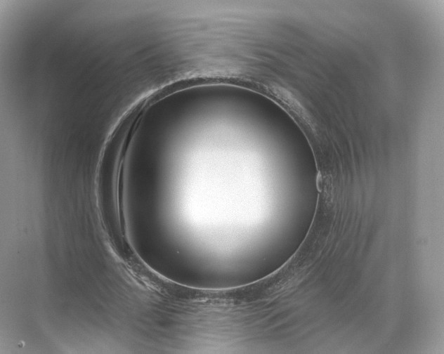 X0000073480676200608140817