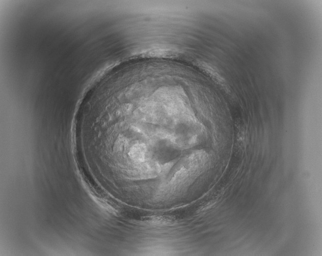 X0000073480678200608140817