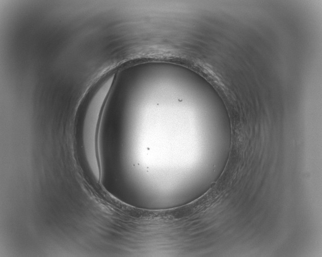 X0000073480679200608140817