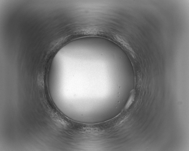 X0000073480681200608140817