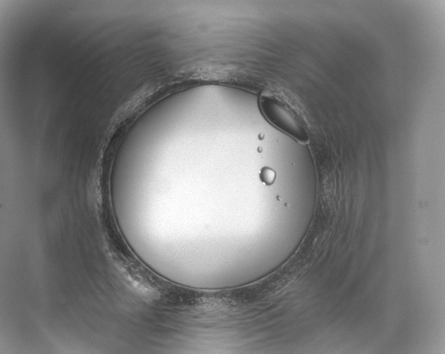 X0000073480682200608140817