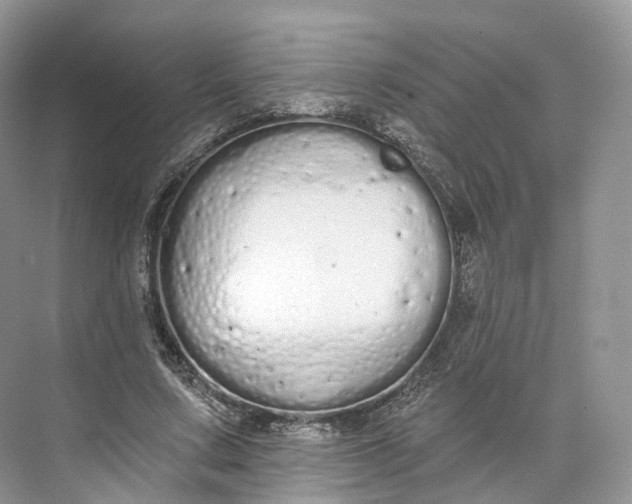 X0000073480683200608140817